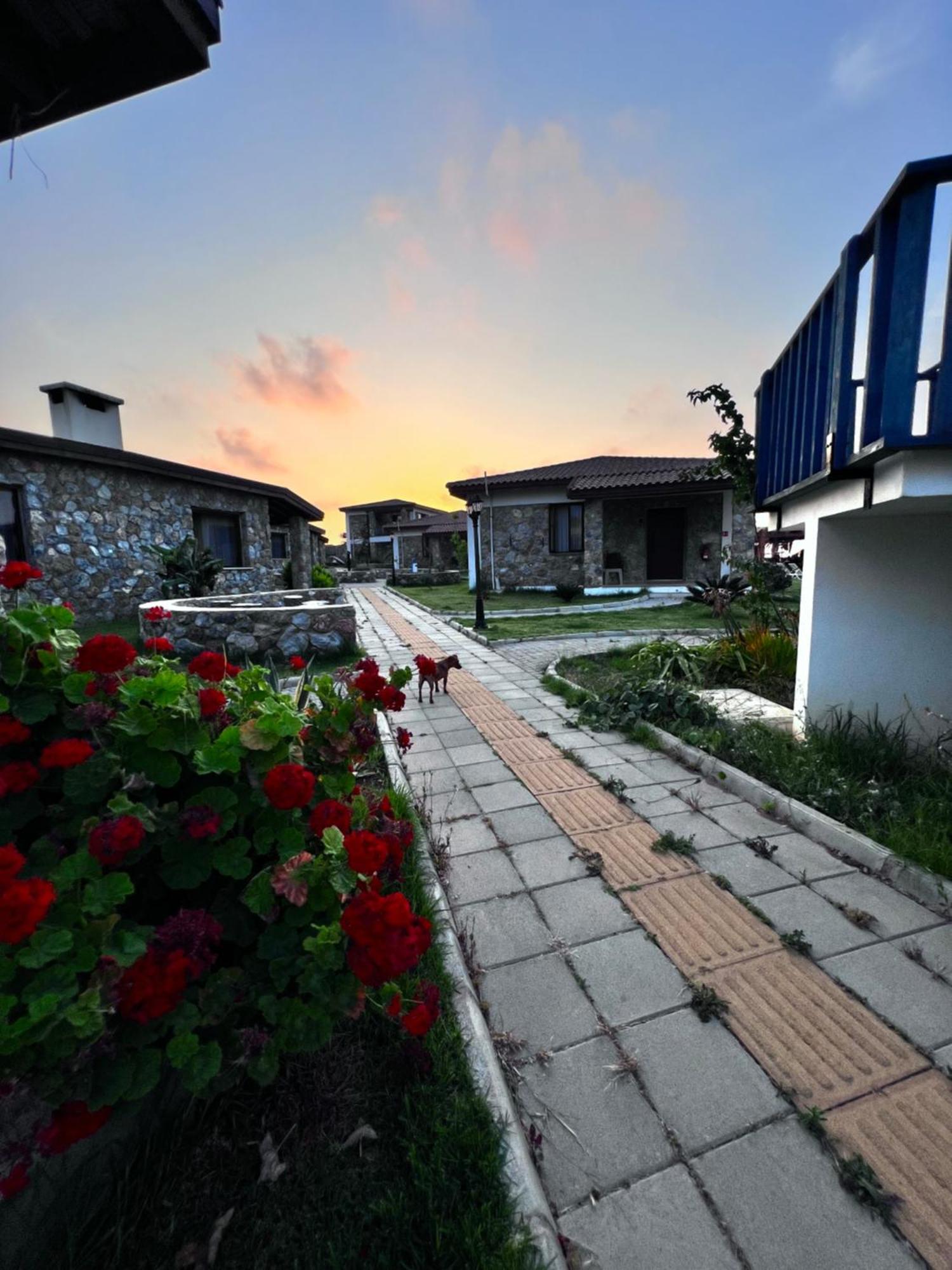 Ardic Agaci Holiday Village Famagusta  Eksteriør billede