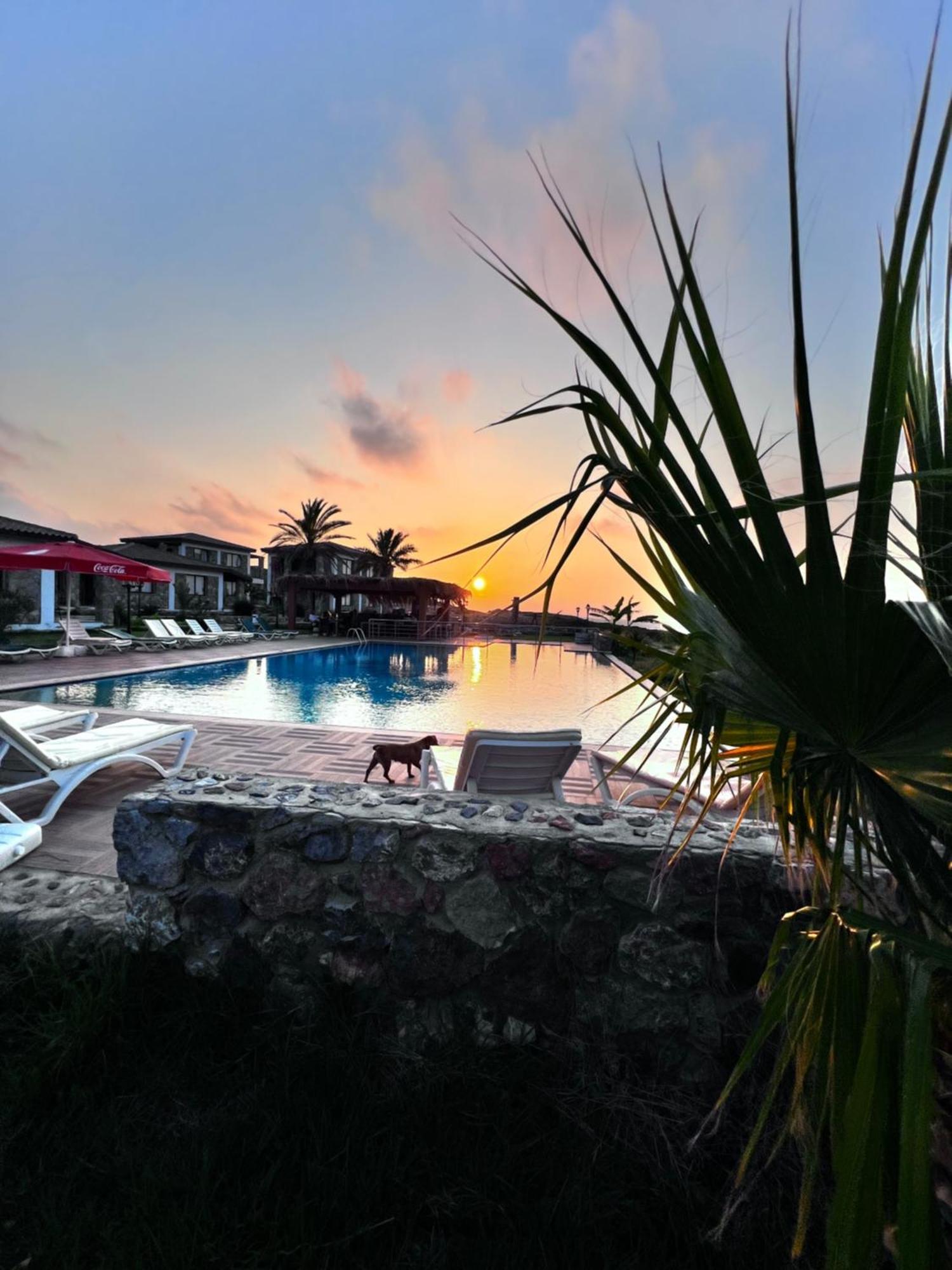 Ardic Agaci Holiday Village Famagusta  Eksteriør billede